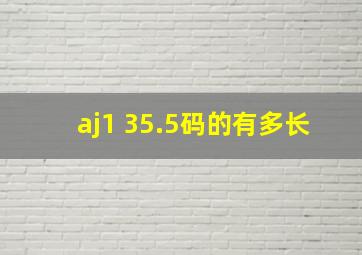 aj1 35.5码的有多长